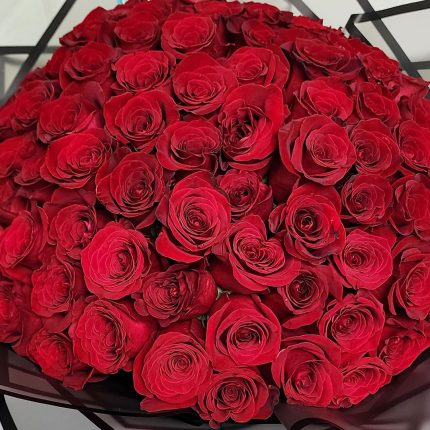 red roses buy in qatar
