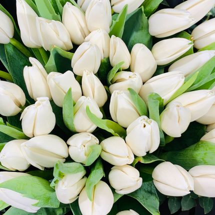 white flowers buy in qatar