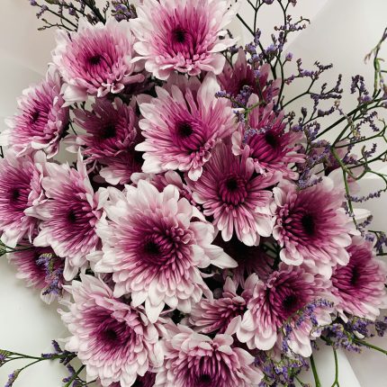 beautiful chrysanthemum send online