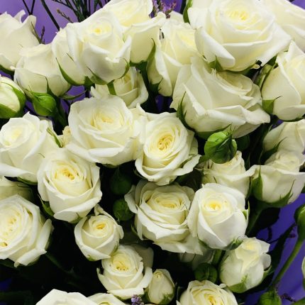 white baby roses bouquet
