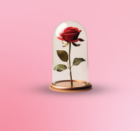 fragrance and preserved roses