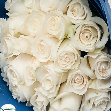 25 White Roses, White Rose Bouquet, Men's Flowers, Luxury Bouquet, Flower Delivery Qatar, Doha Florist, Birthday Gift for Him, Corporate Flowers, Graduation Flowers, Congratulations Flowers, Father's Day Gift, Premium Roses, Fresh Flowers, White Flowers, Florabella Flowers