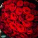 50 Red roses bouquet best price in Qatar