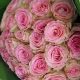 Elegant 25 Sweet Unique Light Pink Roses Bouquet handcrafted with premium fresh roses, beautifully wrapped for birthdays, anniversaries, weddings, and luxury flower delivery across Qatar.