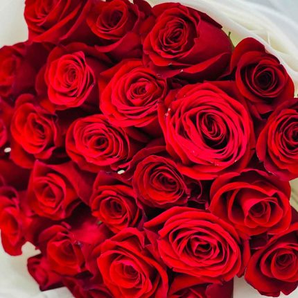 Fresh 20 red roses bouquet in premium white wrapping for birthdays, anniversaries, Valentine's Day, and flower delivery across Qatar.