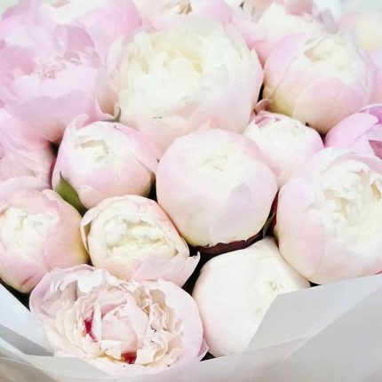 Order a stunning 50 Light Pink Peony Flower Bouquet from Florabella Flowers. Premium fresh peonies with same-day flower delivery across Doha and Qatar for every special occasion.