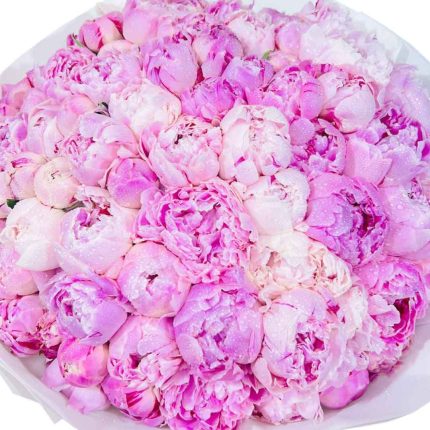 Order your 50 Peony Flowers Bouquet in Qatar today and surprise your loved ones with one of the most luxurious floral gifts available.