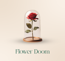 preserved rose Decorations gifts buy online in Qatar