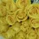 25 yellow roses bouquet in Doha Qatar – luxury yellow rose flower bouquet