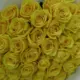 50 yellow rose bouquet in Qatar – luxury yellow roses flower arrangement