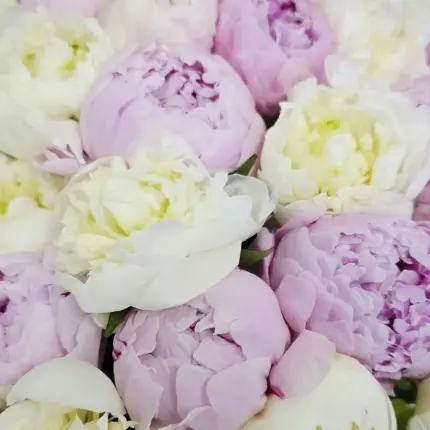 Pink peony flower arrangement in elegant basket – luxury pink flowers delivery in Qatar