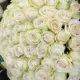 100 white roses bouquet in elegant luxury wrapping for flower delivery in Qatar