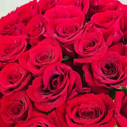 25 Red Roses Stand Bouquet Qatar | Florabella Flowers