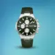 Lee Cooper Men's Multifunction Dark Green Dial Leather Watch LC08223.375