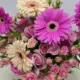 Gerbera and baby roses mixed vase with elegant pink flowers in Qatar