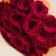 20 red roses bouquet with simple luxury wrapping for flower delivery in Qatar