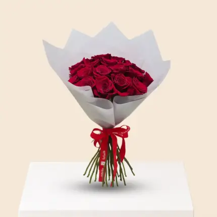 20 red roses luxury bouquet with simple wrapping in Qatar