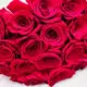 20 red roses luxury bouquet with simple wrapping in Qatar