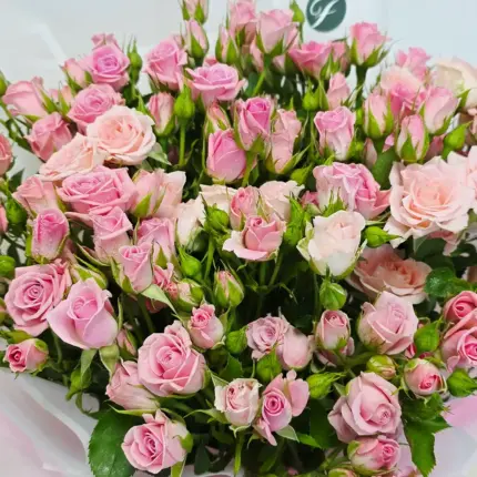 Pink baby roses bouquet gift for birthdays, anniversaries and newborn baby wishes in Qatar