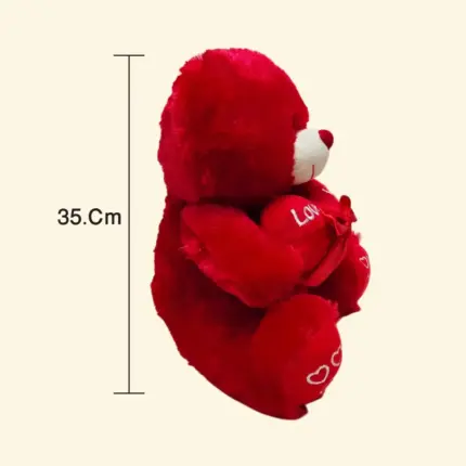 Red soft toy teddy bear combo gift for girlfriend, birthday and anniversary in Qatar